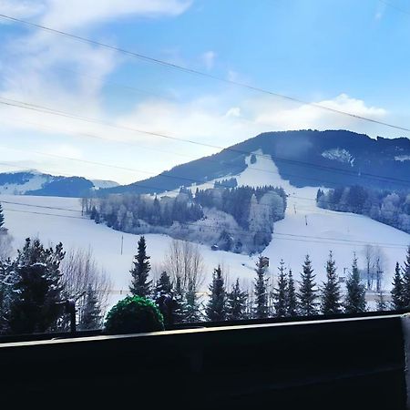 Maria Alm - Cozy & Modern Apartment Mountain View ザールフェルデン・アム・シュタイナーネン・メアー エクステリア 写真